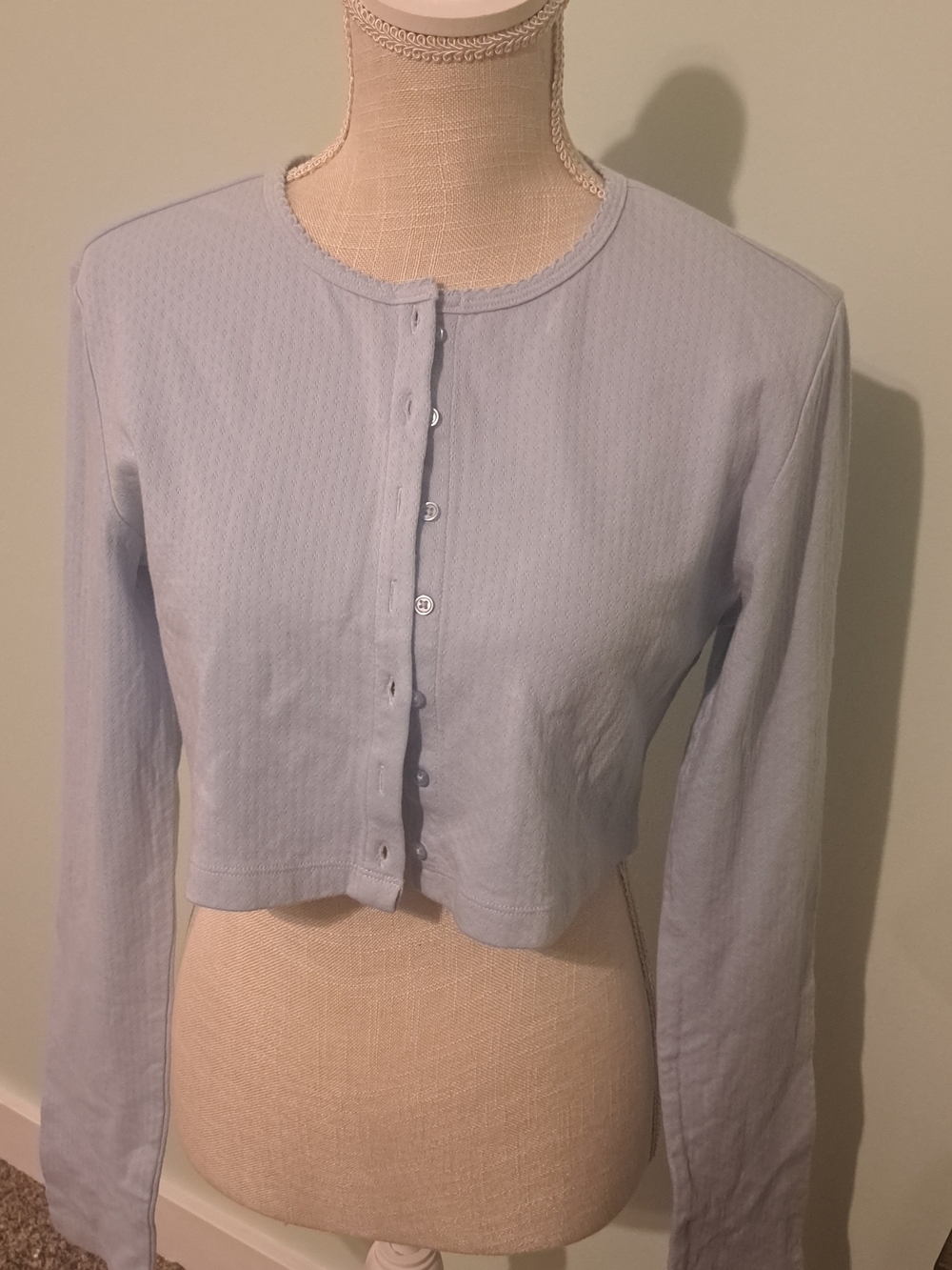 hazel Pale Blue Long-Sleeve Cropped Button-Front Top